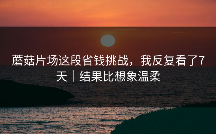 蘑菇片场这段省钱挑战,我反复看了7天|结果比想象温柔 蘑菇片场这段省钱挑战,我反复看了7天|结果比想象温柔
