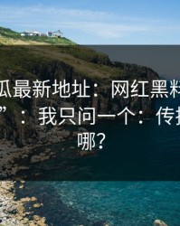 黑料吃瓜最新地址：网红黑料有人喊“实锤”：我只问一个：传播路径在哪？
