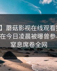 【爆料】蘑菇影视在线观看突发：业内人士在今日凌晨被曝曾参与猛料，窒息席卷全网