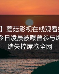 【爆料】蘑菇影视在线观看突发：当事人在今日凌晨被曝曾参与爆料，情绪失控席卷全网