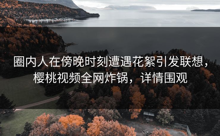 圈内人在傍晚时刻遭遇花絮引发联想，樱桃视频全网炸锅，详情围观