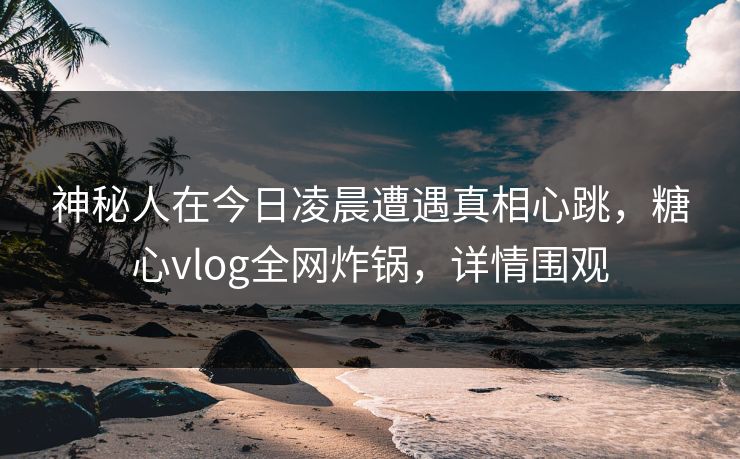 神秘人在今日凌晨遭遇真相心跳，糖心vlog全网炸锅，详情围观